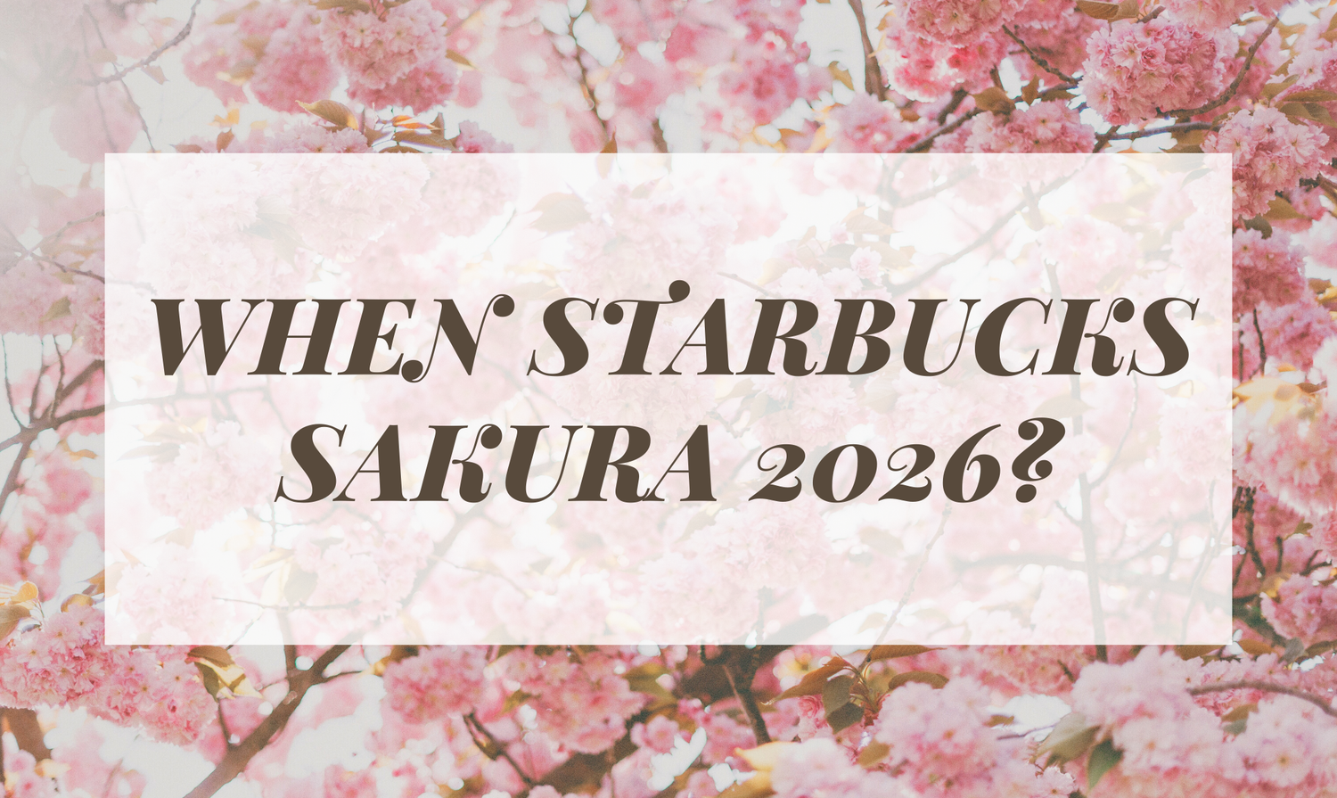 Starbucks Sakura Collection 2026 - Release Date, Expectations & Where to Buy