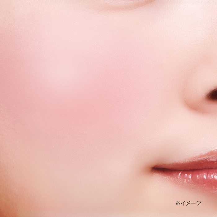 CANMAKE Gradation Cheeks 5.2g [Alcohol-free]