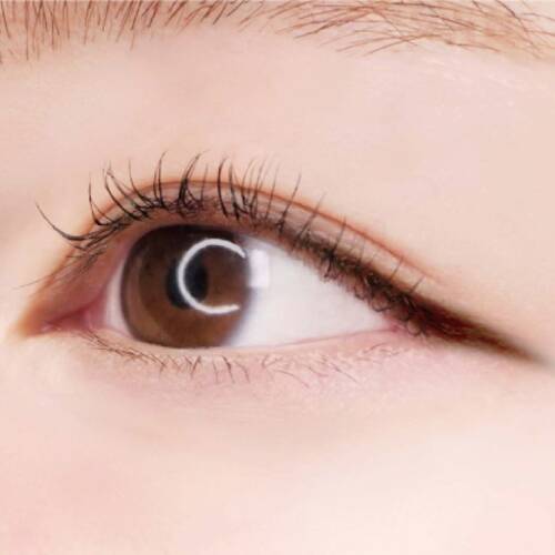 Canmake Creamy Touch Gel Eyeliner – Waterproof 1.5mm Slim Liner, Multiple Colors 8g [Alcohol-free]