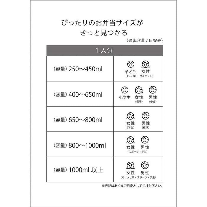 Skater Bento Box 650ml – My Neighbor Totoro (4-Point Lock, Antibacterial, Made in Japan)