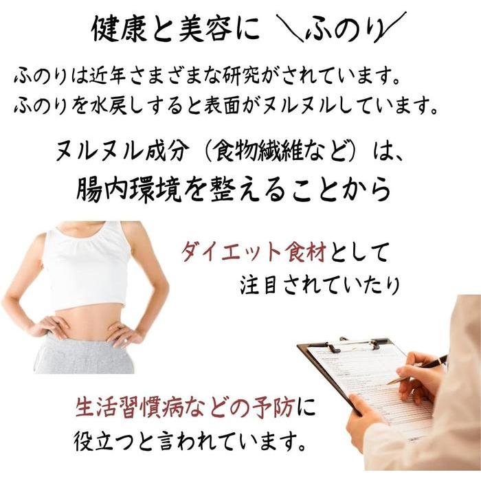 Kaisou Honpo Getrocknete Funori-Algen 80g – Natürliche Algen aus der Präfektur Mie, Japan