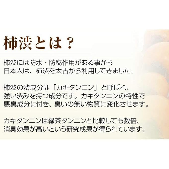 Yakuyo Kakishibu Medicated Body Soap 550 mL – Deodorant & Acne Care Quasi-Drug [With alcohol]