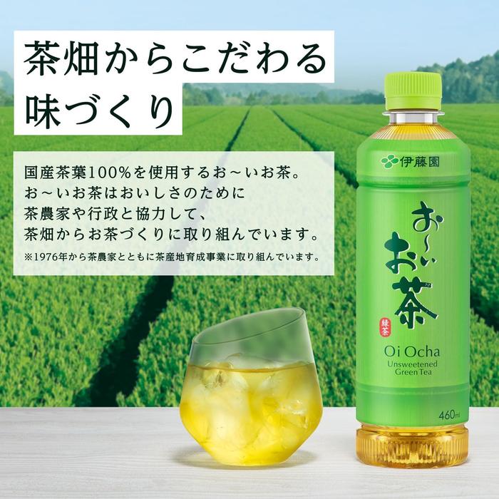 Ito En Oi Ocha Japanese Green Tea 600ml – Unsweetened Authentic Bottled Sencha Tea