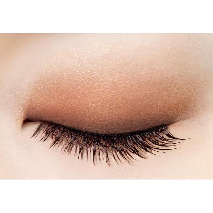 JAPAN BESTSELLER! Skinny Rich Shadow