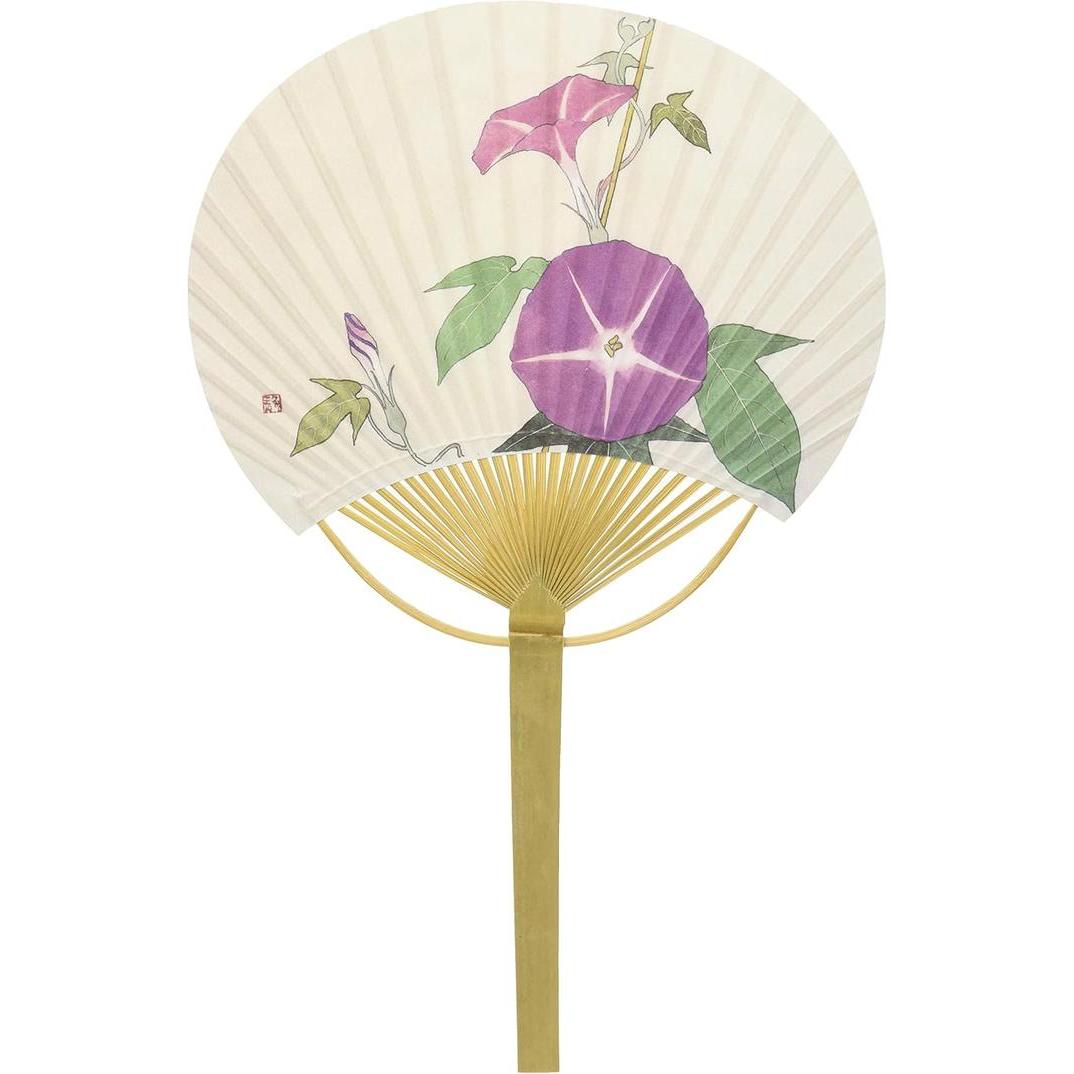 Shikoku Marugame Uchiwa Fan – Morning Glory Japanese Bamboo Hand Fan 23 × 36.5cm