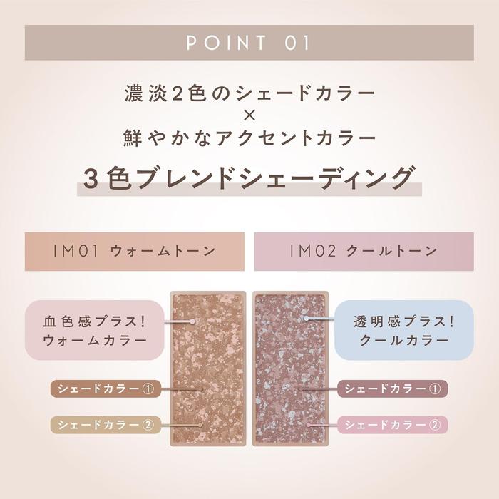 Excel Impressive Mood Shade 3.4g – 3-Color Contour Powder, 2 Colors [Alcohol-free]