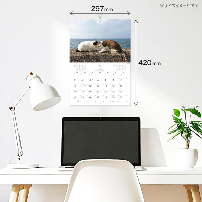 Masayuki Oki 2027 Island Cats Wall Calendar – Playful & Free-Spirited Cats [Japanese Edition]