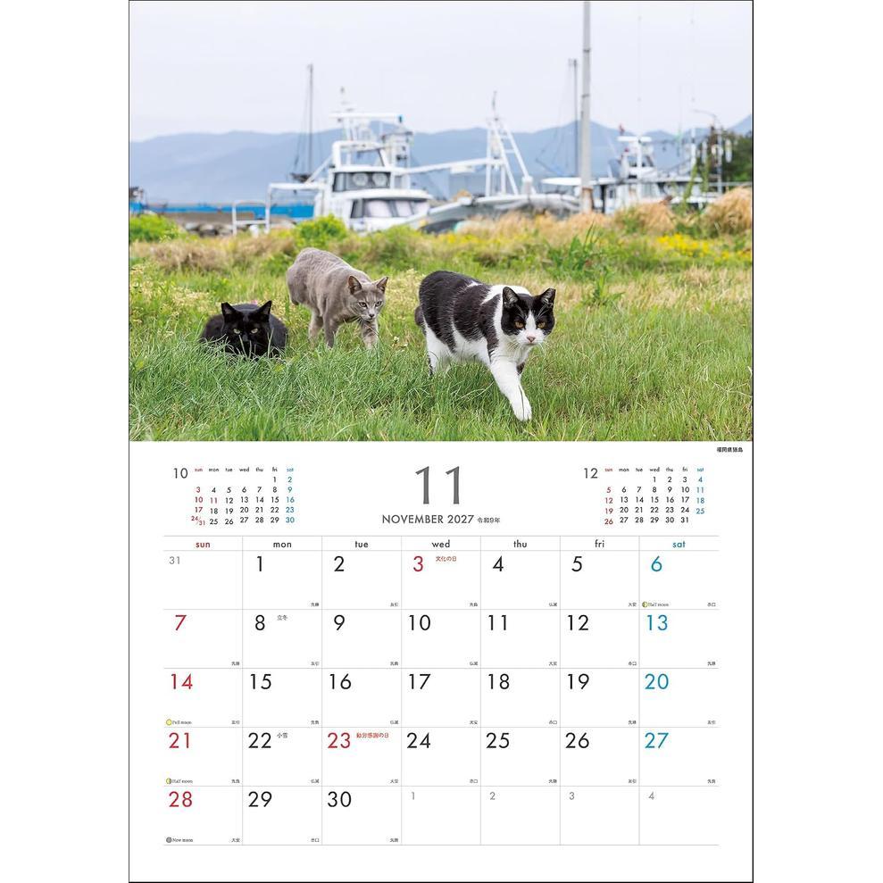 Masayuki Oki 2027 Island Cats Wall Calendar – Playful & Free-Spirited Cats [Japanese Edition]