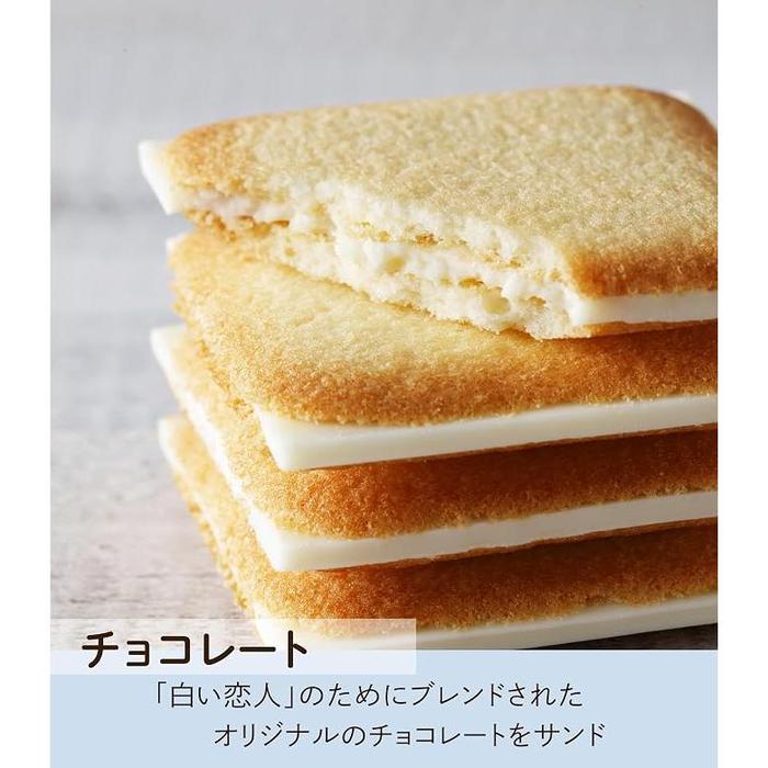 ISHIYA Shiroi Koibito White & Black Assortment – 54 Pieces in Tin