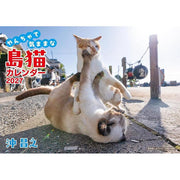 Masayuki Oki 2027 Island Cats Wall Calendar – Playful & Free-Spirited Cats [Japanese Edition]