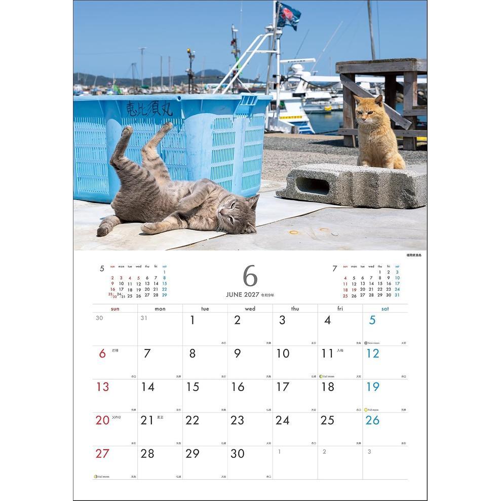 Masayuki Oki 2027 Island Cats Wall Calendar – Playful & Free-Spirited Cats [Japanese Edition]
