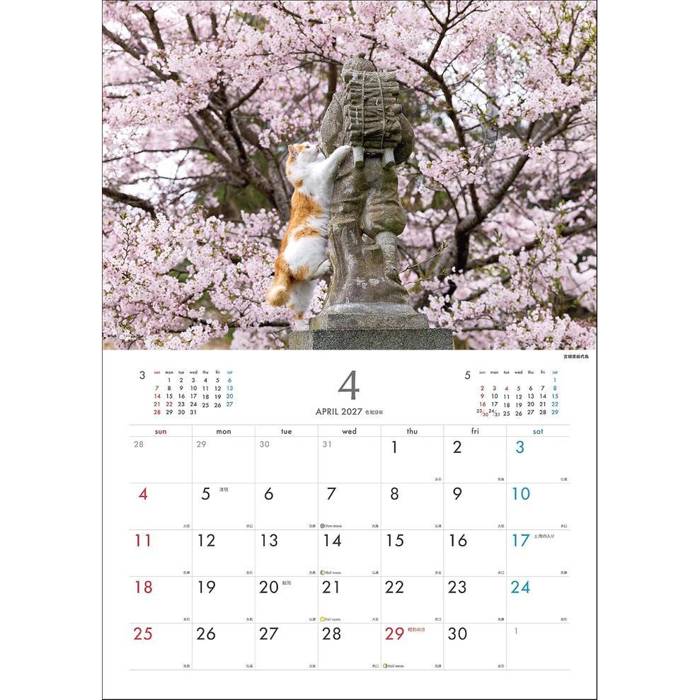 Masayuki Oki 2027 Island Cats Wall Calendar – Playful & Free-Spirited Cats [Japanese Edition]