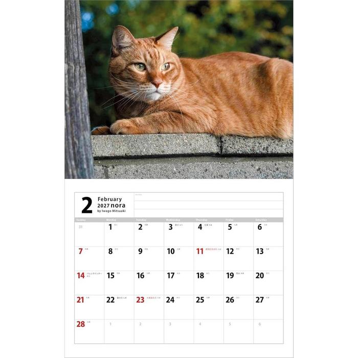 Mitsuaki Iwago 2027 Nora – Stray Cats of Japan Wall Calendar [Japanese Edition]