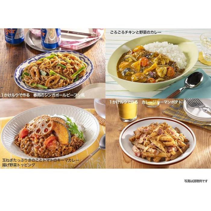 Java Curry – Mild 185g (9 servings total)