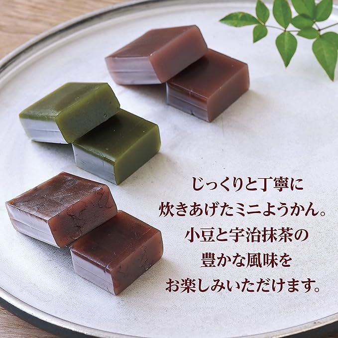 Imuraya Mini Yokan MT-B – Assorted Traditional Japanese Sweet Bean Jelly (12 Pieces)