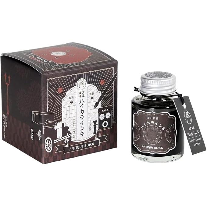 Teranishi Guitar Taisho Roman Haikara Fountain Pen Ink – 40 ml, 12 Colors