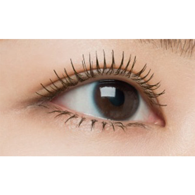 CANMAKE Quick Lash Curler Collection – Original, ER, Separate & Remover