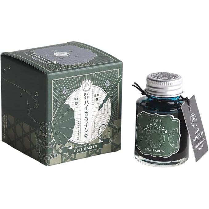 Teranishi Guitar Taisho Roman Haikara Fountain Pen Ink – 40 ml, 12 Colors