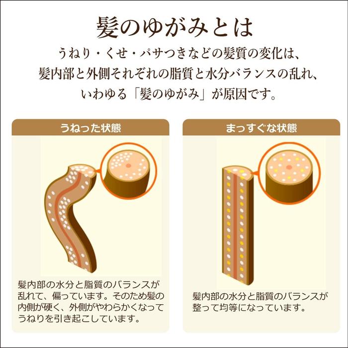 HIMAWARI GLOSS&REPAIR - JAPAN'S BESTSELLER! Deeply polishing and rebuilding shampoo with sunflower oil 500ml [With alcohol]