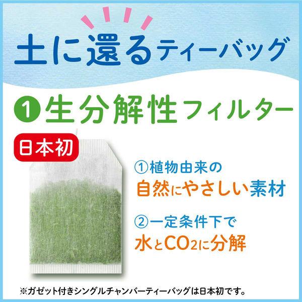 Green tea in ryokucha bags plus matcha OI OCHA (20 bags)