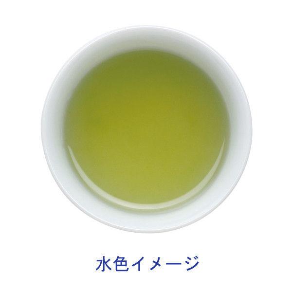 Premium green tea with Uji Matcha Oi Ocha (20 bags)